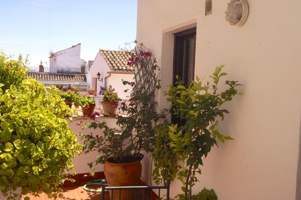 Penthouse Puerta De La Juderia Apartment Cordoba Exterior photo